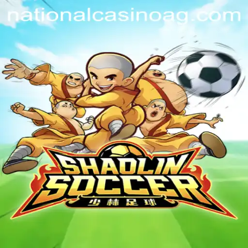 ShaolinSoccer: Thrilling Virtual Reality Meets Traditional Soccer